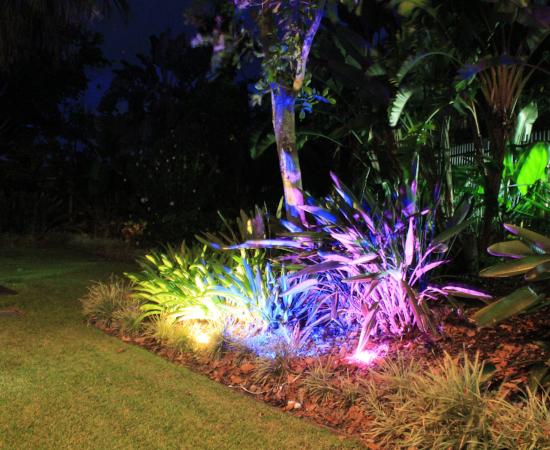 Canaria LED Series 5W full colour